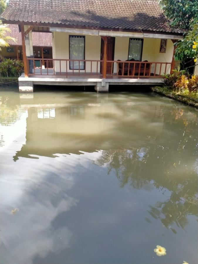 Villa Uma Ayu Sidemen Sidemen  Exteriör bild