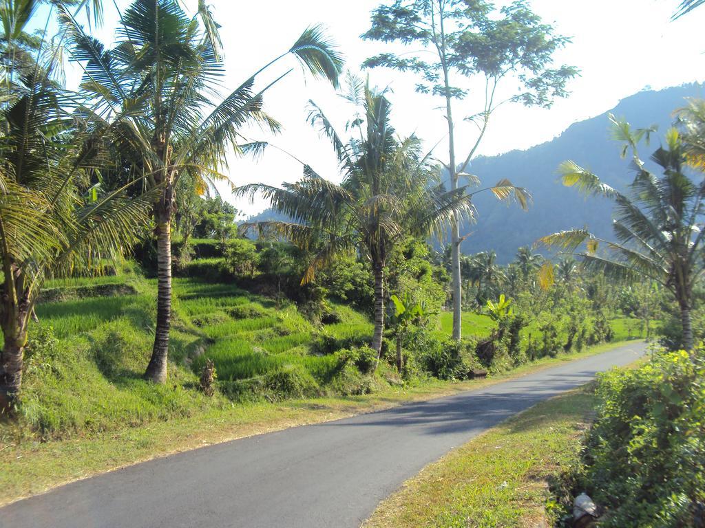 Villa Uma Ayu Sidemen Sidemen  Exteriör bild